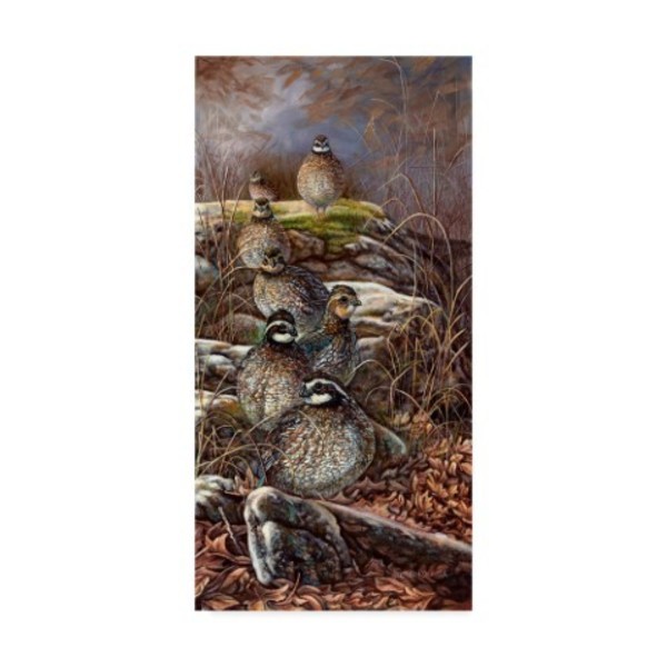 Trademark Fine Art Carolyn Mock 'Quail Trail' Canvas Art, 12x24 WAG03713-C1224GG